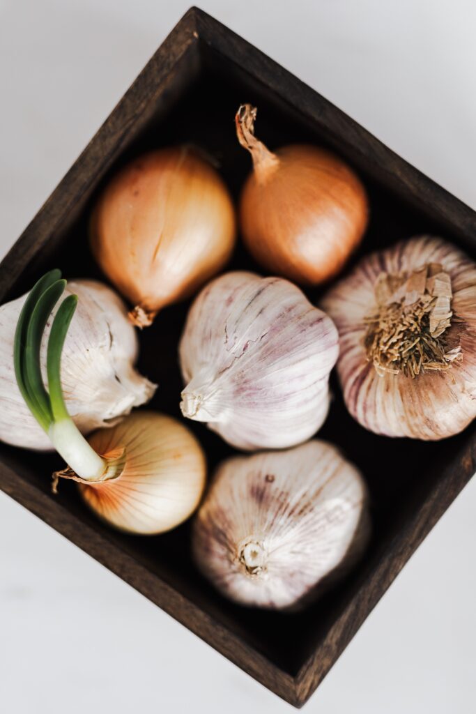 From above of composed organic yellow onions with one regrowing bulb and garlic in square ceramic pot placed on white background